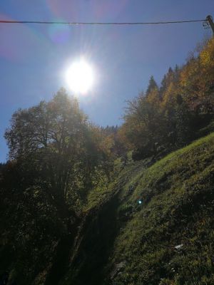 Kliknite za ogled večje slike