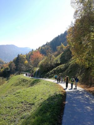 Kliknite za ogled večje slike