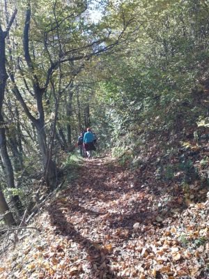 Kliknite za ogled večje slike