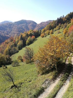 Kliknite za ogled večje slike