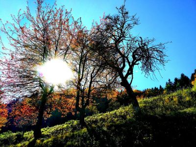 Kliknite za ogled večje slike