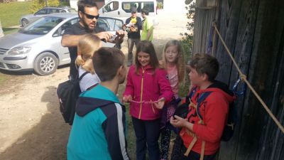 Kliknite za ogled večje slike