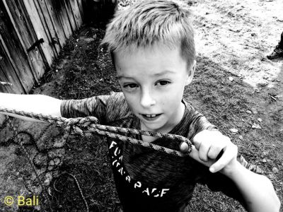 Kliknite za ogled večje slike