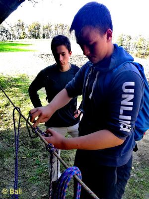 Kliknite za ogled večje slike