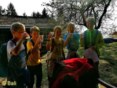 Kliknite za ogled večje slike