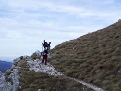 Kliknite za ogled večje slike
