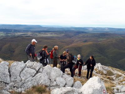 Kliknite za ogled večje slike