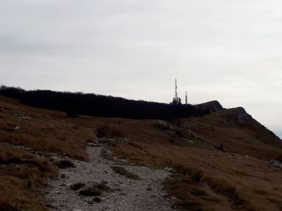 Kliknite za ogled večje slike