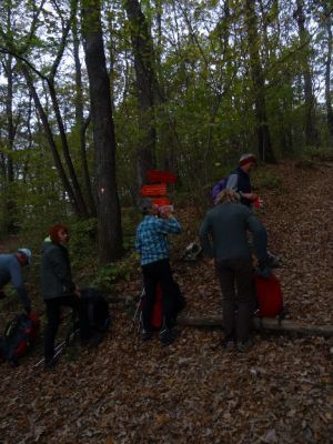 Kliknite za ogled večje slike