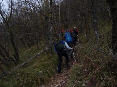 Kliknite za ogled večje slike