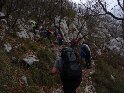 Kliknite za ogled večje slike