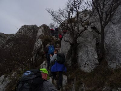 Kliknite za ogled večje slike