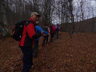 Kliknite za ogled večje slike