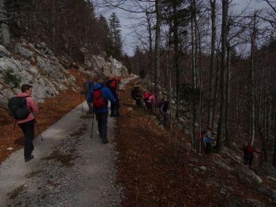 Kliknite za ogled večje slike