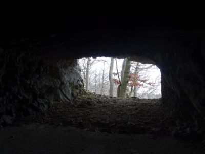 Kliknite za ogled večje slike