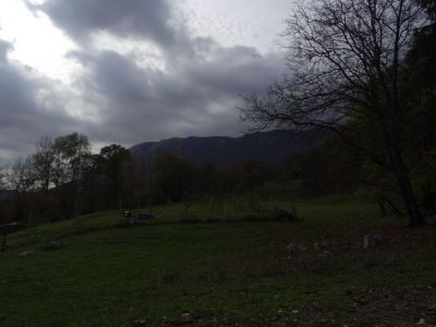 Kliknite za ogled večje slike