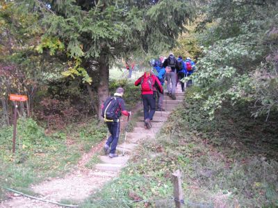 Kliknite za ogled večje slike