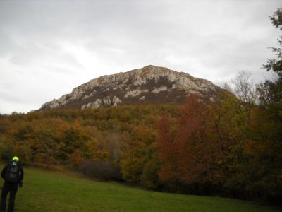 Kliknite za ogled večje slike