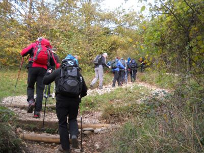 Kliknite za ogled večje slike