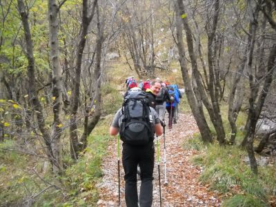 Kliknite za ogled večje slike