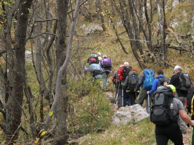 Kliknite za ogled večje slike