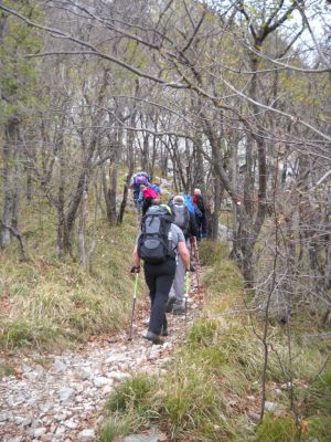 Kliknite za ogled večje slike