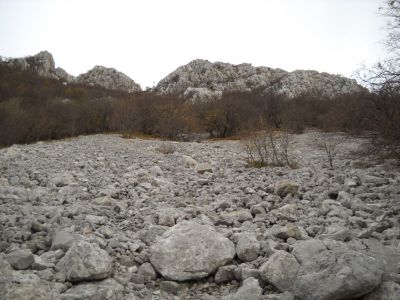 Kliknite za ogled večje slike