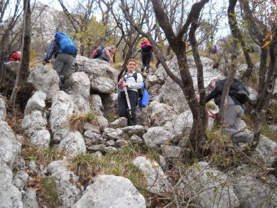 Kliknite za ogled večje slike
