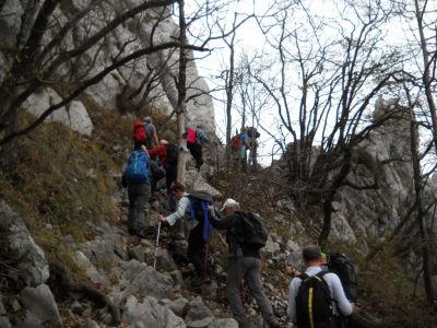 Kliknite za ogled večje slike