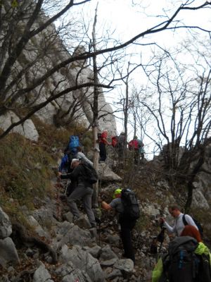Kliknite za ogled večje slike