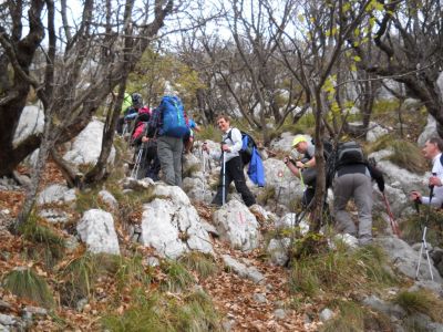 Kliknite za ogled večje slike