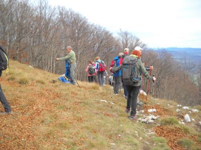 Kliknite za ogled večje slike