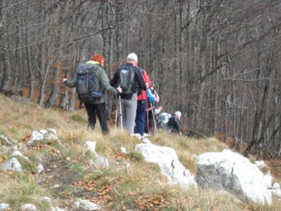 Kliknite za ogled večje slike