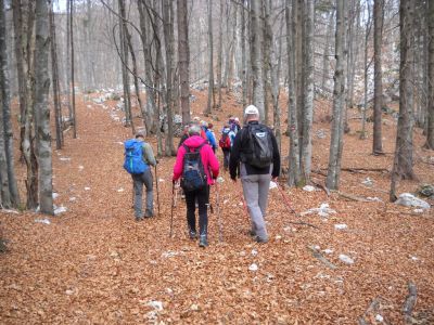 Kliknite za ogled večje slike