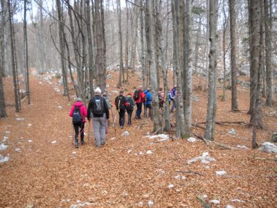 Kliknite za ogled večje slike