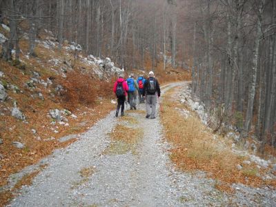 Kliknite za ogled večje slike