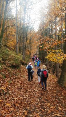 Kliknite za ogled večje slike
