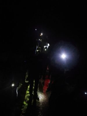 Kliknite za ogled večje slike