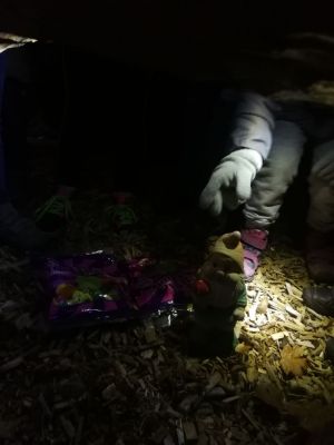 Kliknite za ogled večje slike