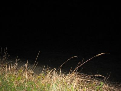 Kliknite za ogled večje slike