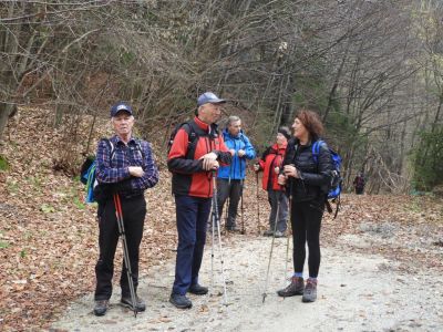 Kliknite za ogled večje slike
