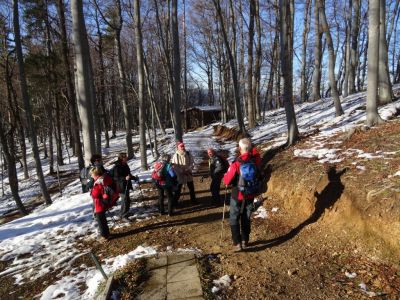 Kliknite za ogled večje slike
