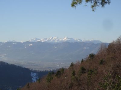 Kliknite za ogled večje slike