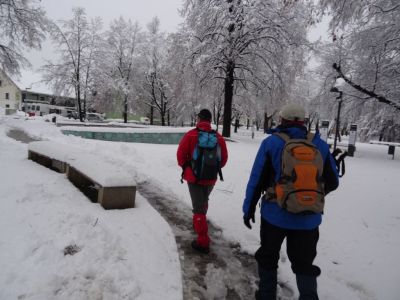 Kliknite za ogled večje slike