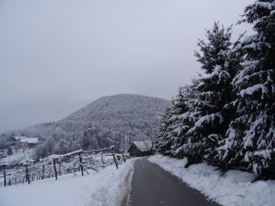 Kliknite za ogled večje slike