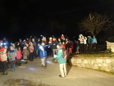 Kliknite za ogled večje slike