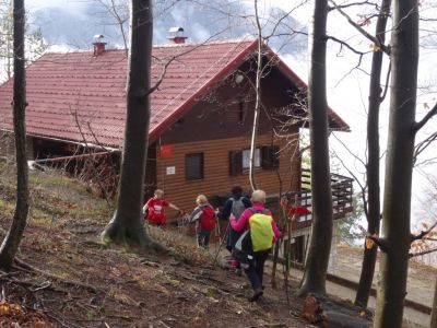 Kliknite za ogled večje slike