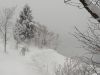 20180221_095827.jpg