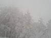 20180221_103844.jpg