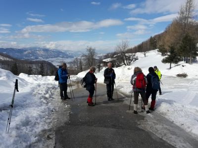 Kliknite za ogled večje slike